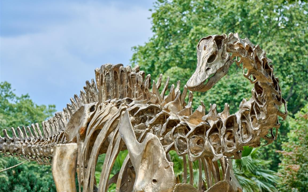 Natural History Museum opens gardens and reveals latest dinosaur resident
